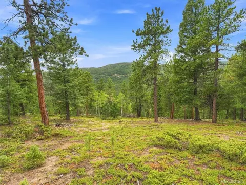 Other - 31084 Forest Shadow Trl, Conifer, CO 80433 photo 9 of 13