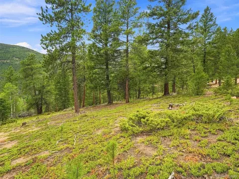 Other - 31084 Forest Shadow Trl, Conifer, CO 80433 photo 8 of 13