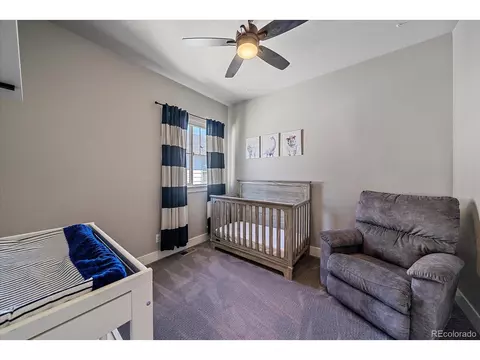 8528 E 54th Pl, Denver, CO 80238 photo 21