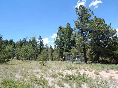7348 Ranch Rd, Hartsel, CO 80449 photo 38