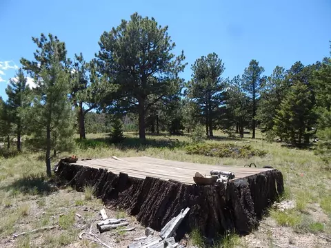 7348 Ranch Rd, Hartsel, CO 80449 photo 39