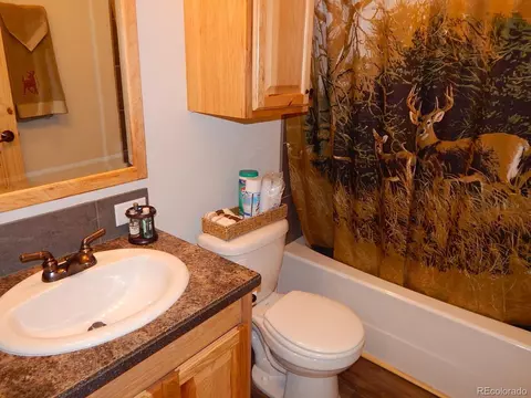 7348 Ranch Rd, Hartsel, CO 80449 photo 17