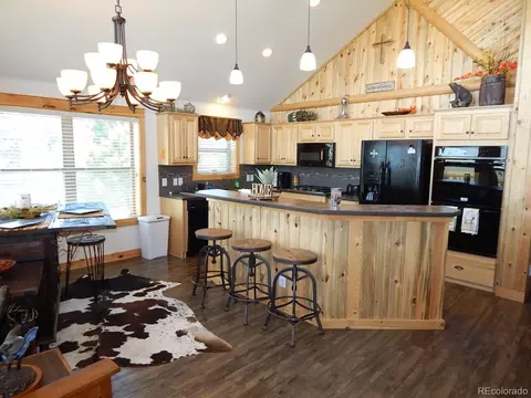 7348 Ranch Rd, Hartsel, CO 80449 photo 6
