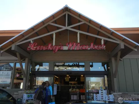 890 Locust Ave, Boulder, CO 80304 photo 23