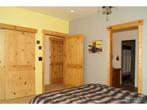 14061 Wamblee Trl, Conifer, CO 80433 photo 16