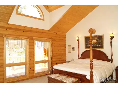 14061 Wamblee Trl, Conifer, CO 80433 photo 10