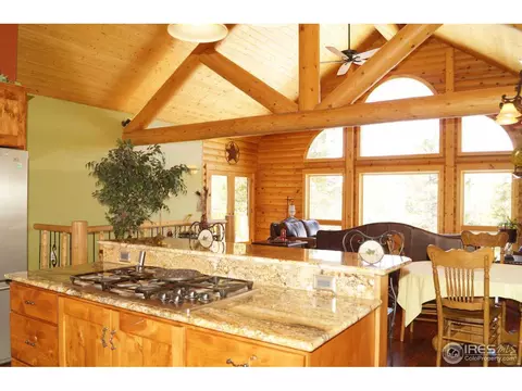 14061 Wamblee Trl, Conifer, CO 80433 photo 5