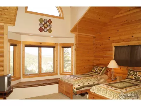14061 Wamblee Trl, Conifer, CO 80433 photo 19