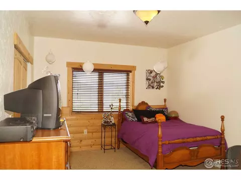 14061 Wamblee Trl, Conifer, CO 80433 photo 13