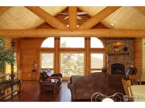 14061 Wamblee Trl, Conifer, CO 80433 photo 9