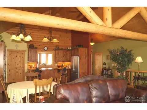 14061 Wamblee Trl, Conifer, CO 80433 photo 6