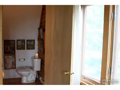 897 Riverside Dr, Lyons, CO 80540 photo 18
