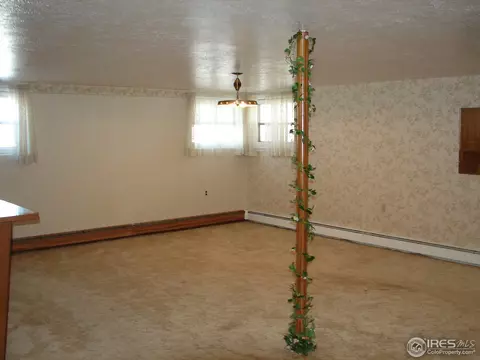 622 6th St, Windsor, CO 80550 photo 13