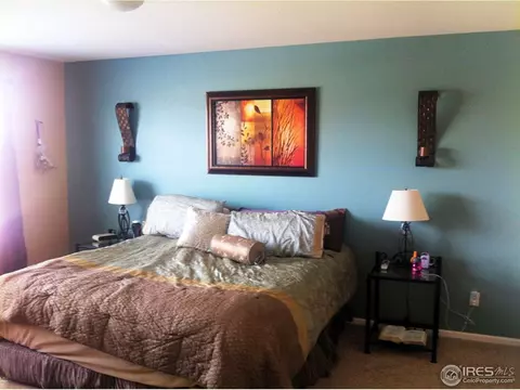 15152 E 116th Pl, Brighton, CO 80603 photo 6