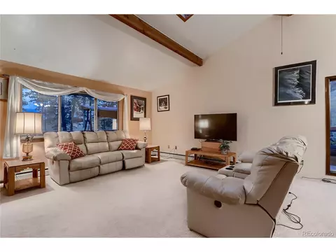 9678 Fallen Rock Rd, Conifer, CO 80433 photo 7