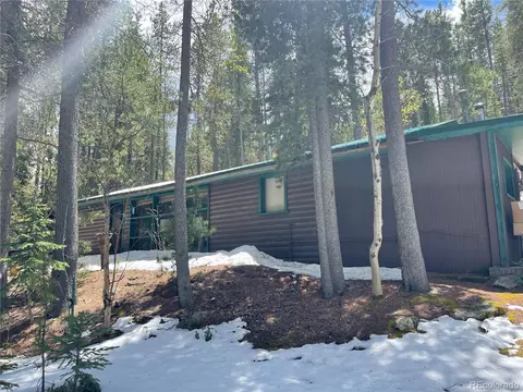 7823 County Road 43, Bailey, CO 80421 photo 8