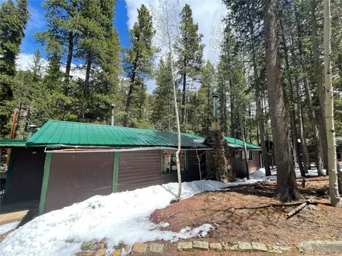7823 County Road 43, Bailey, CO 80421 photo 4