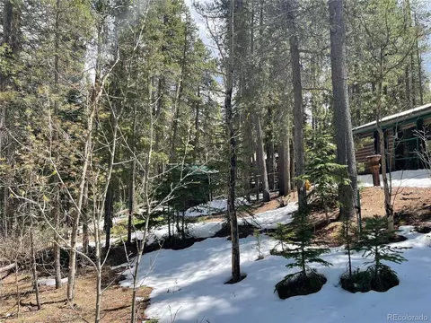 7823 County Road 43, Bailey, CO 80421 photo 9