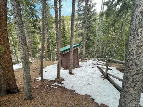 7823 County Road 43, Bailey, CO 80421 photo 10