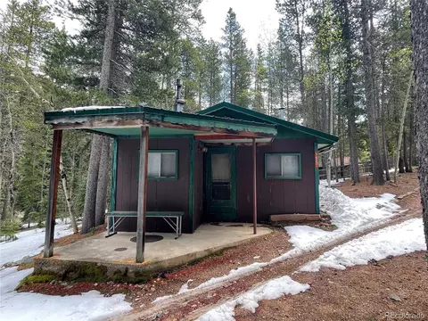 7823 County Road 43, Bailey, CO 80421 photo 1