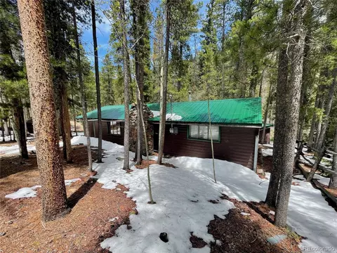 7823 County Road 43, Bailey, CO 80421 photo 5