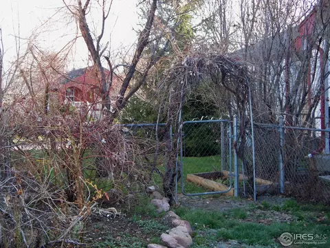 203 E Iowa Ave, Berthoud, CO 80513 photo 12