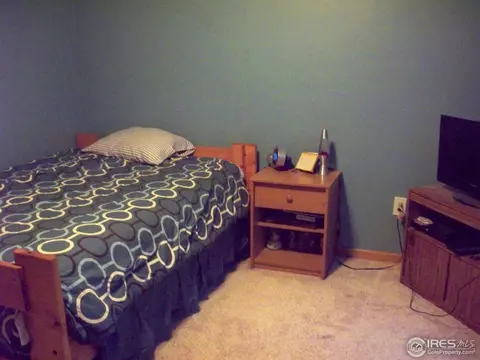 203 E Iowa Ave, Berthoud, CO 80513 photo 17