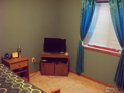 203 E Iowa Ave, Berthoud, CO 80513 photo 18
