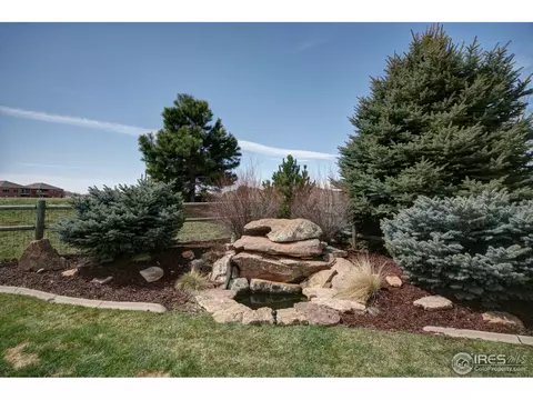 5305 Moonlight Bay Dr, Windsor, CO 80528 photo 25