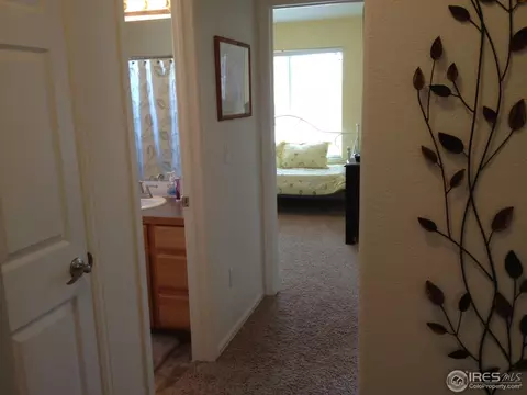 5329 Remington Ave, Firestone, CO 80504 photo 19