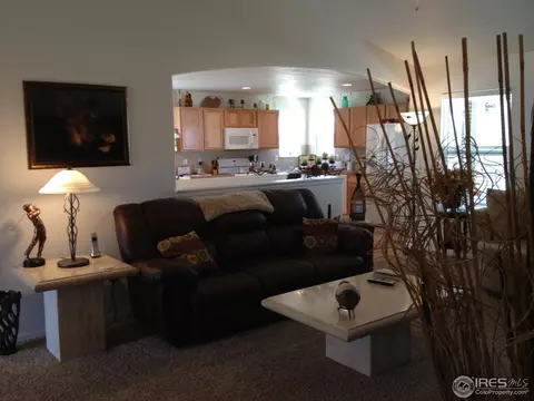 5329 Remington Ave, Firestone, CO 80504 photo 13