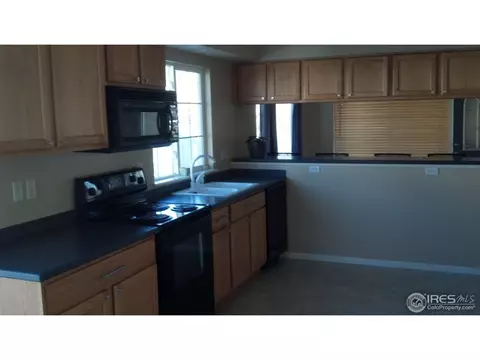 11781 Zenobia Loop, Westminster, CO 80031 photo 4