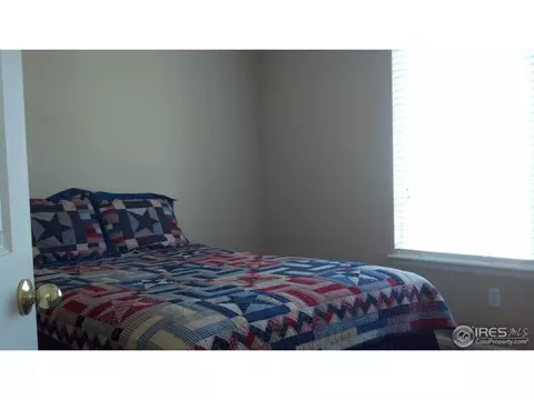 11781 Zenobia Loop, Westminster, CO 80031 photo 10