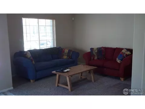 11781 Zenobia Loop, Westminster, CO 80031 photo 6