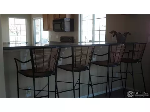 11781 Zenobia Loop, Westminster, CO 80031 photo 5