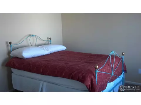11781 Zenobia Loop, Westminster, CO 80031 photo 11