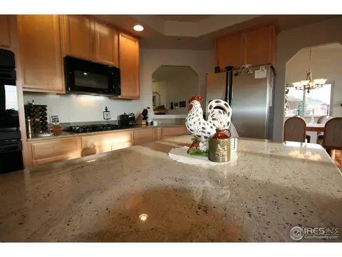 6070 Eagle Shadow Ave, Brighton, CO 80602 photo 6