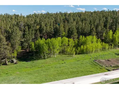 229 Jed Smith Rd, Ward, CO 80481 photo 17