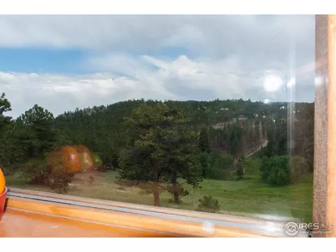 229 Jed Smith Rd, Ward, CO 80481 photo 19