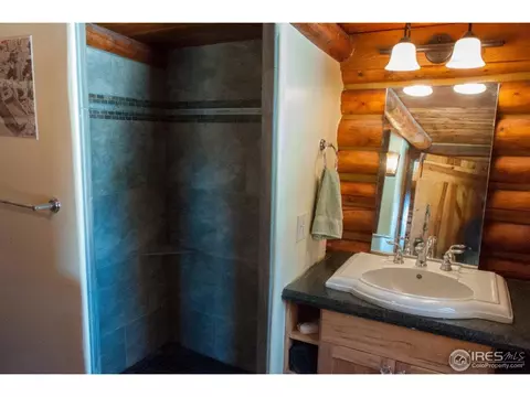 229 Jed Smith Rd, Ward, CO 80481 photo 7