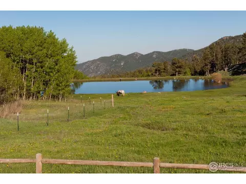 229 Jed Smith Rd, Ward, CO 80481 photo 18