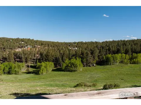229 Jed Smith Rd, Ward, CO 80481 photo 16