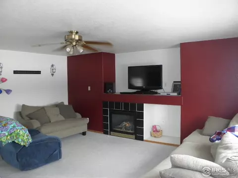 5447 Bobcat Ct, Frederick, CO 80504 photo 4