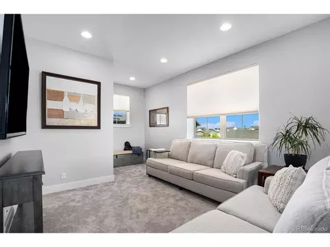 9003 E 61st Pl, Denver, CO 80238 photo 18