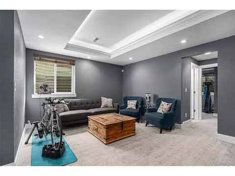 9003 E 61st Pl, Denver, CO 80238 photo 25