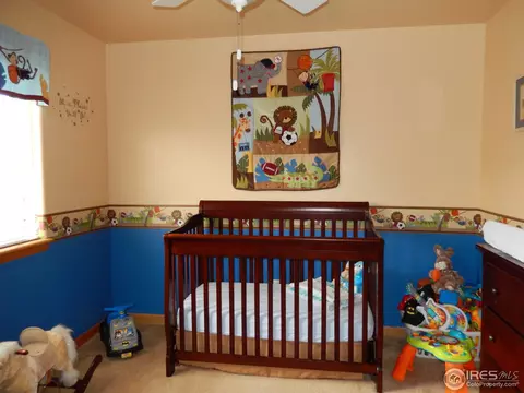 663 Mcclure Ave, Firestone, CO 80520 photo 11