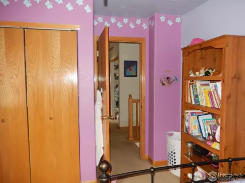 663 Mcclure Ave, Firestone, CO 80520 photo 10