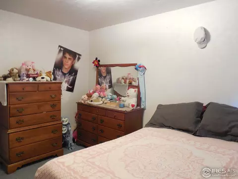 324 25th Ave, Greeley, CO 80631 photo 13