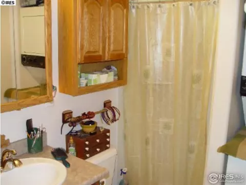 105 E Michigan Ave, Berthoud, CO 80513 photo 19