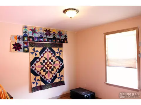 105 E Michigan Ave, Berthoud, CO 80513 photo 21